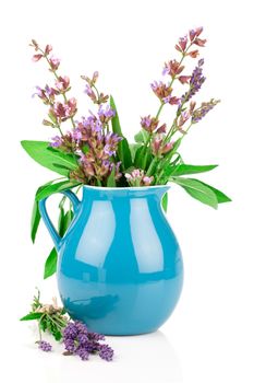 sage flowers in a jug, a white background