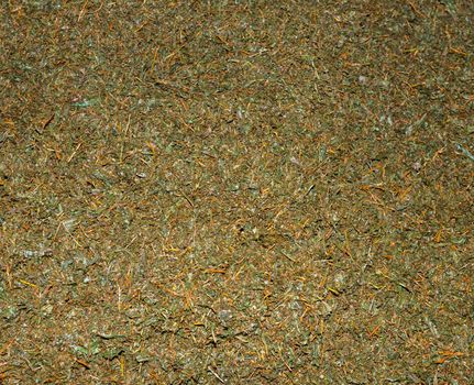 Crumbled up unsorted fresh green tea crop on tea factory for fermentation