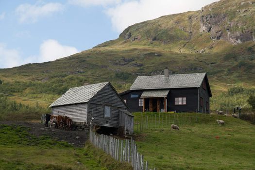 The pictures are from the western part of Norway, where the narrow fjords and mountain scenery make wild overwhelming.