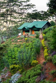 Small house on a green hill at mountains with tropical plants, Nuwara Eliya, Sri Lanka. 