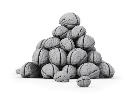 The big dump of brains on the isolated white background