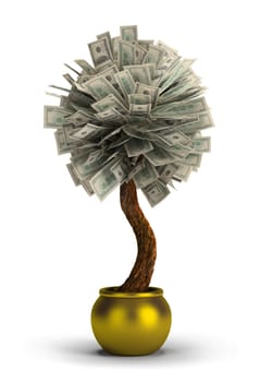 money tree in a golden pot. 3d image. Isolated white background.