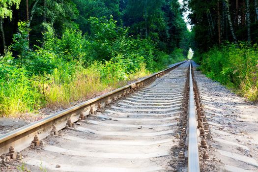 old railroad going through the wood