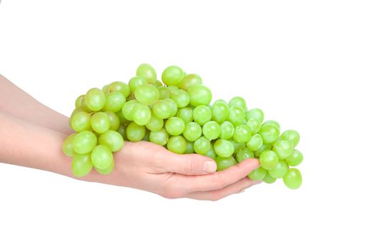 Cluster of grapes on hands