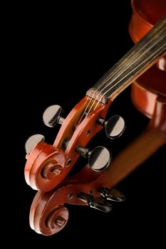 violin on black background