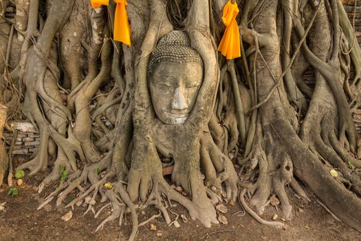 Head of The Sand Stone Buddha Image in wat mahathat temple, Ayutthaya Thailand