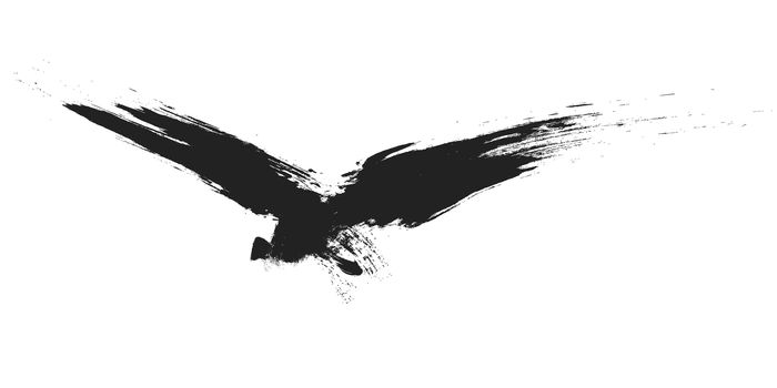 An image of a grunge black bird