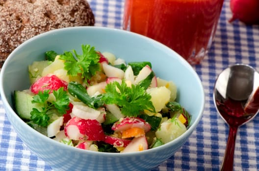 Summer salad of fresh vegetables