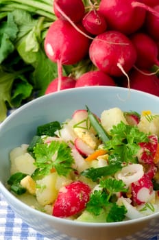 Summer salad of fresh vegetables