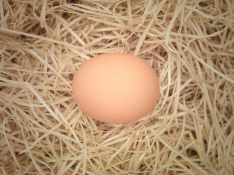 A close up shot of an egg in barn straw
