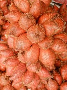 Salak, tropical sweet Thai fruit in thai local market. The scientific name : Salacca zalacca is a species of palm tree.