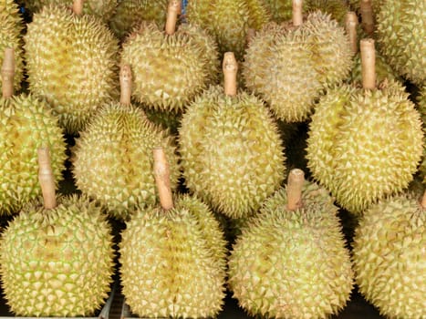 Durian king of Thai fruits in market Thailand.