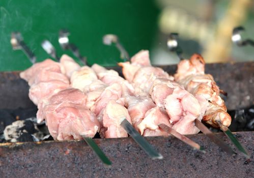 BBQ on kewers with raw shish kebab.