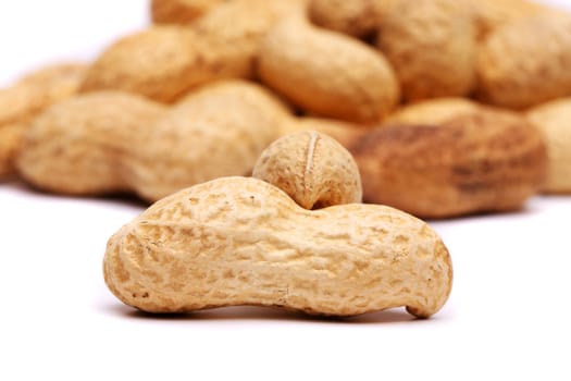 Dried peanuts in closeup on a white background