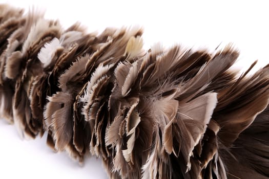 broom to sweep dust feather isolated on white background