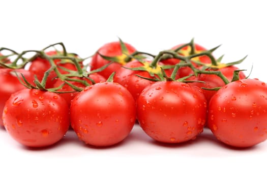 Closeup of tomatoes on the vine isolated on white