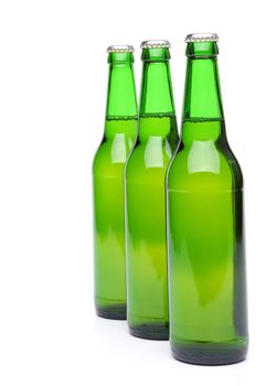 Row from beer bottles. Isolated on white background.