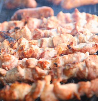 Appetizing fresh meat shish kebab (shashlik) prepared on a grill wood coal, outdor