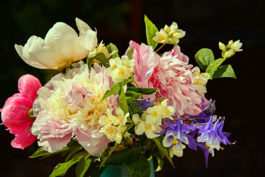 A bouquet of summer flowers against a dark backround