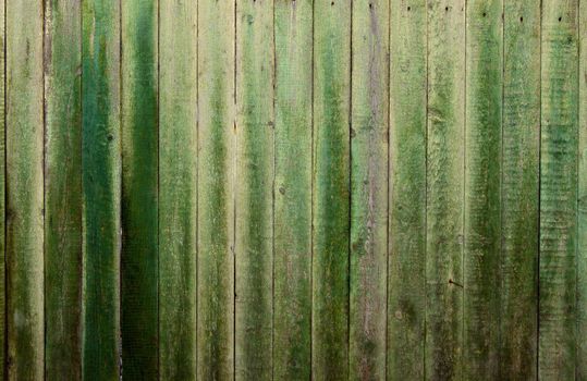 Background picture made of old green wood boards