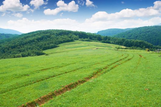 Pasture in the mountains serene summer morning