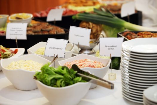 Fresh vegetable salads in dishes on a buffet table with name labels identifying ingredients
