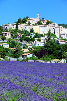 lavender field and old town of Banon, France