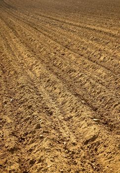 Brown soil of an agricultural field