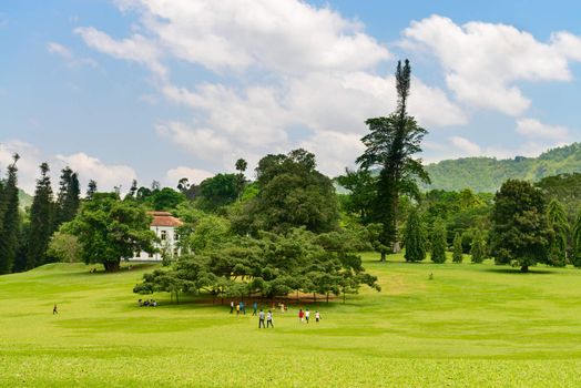 Beautiful tropical Royal Botanical Gardens, Peradeniya, Kandy, Sri Lanka
