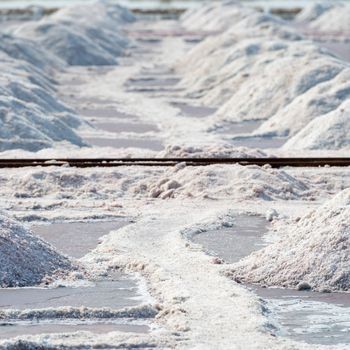 Salt piles in salt farm on Sambhar Salt Lake, India. It is India's largest saline lake and it produces 196 k tonnes of clean salt every year.