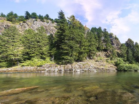 Lewis River Landscape in Gifford Pinchot National Forest in Skamania County Washington State