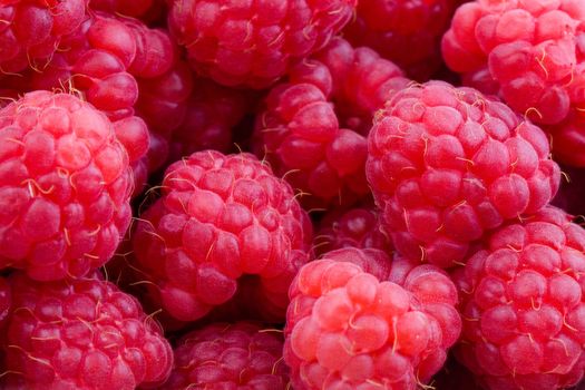 Closeup on fresh, red raspberries, sweet fruits background