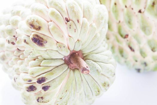 Close up pole of organic custard apple