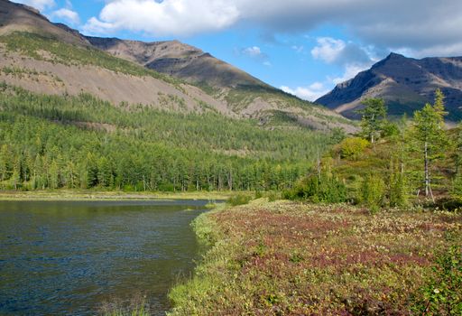 The end of the summer on the Putorana plateau. The valley of the river Mikchangda.