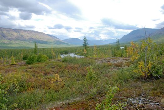 The end of the summer on the Putorana plateau. The valley of the river Mikchangda.