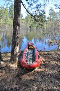 Landscapes and detail of the nature in the forest on the river Bank in early may. Russia, the national Park "Meshchersky.