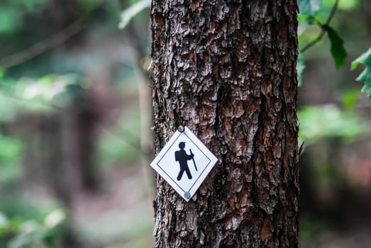 Hiking trail sign on the forest paths