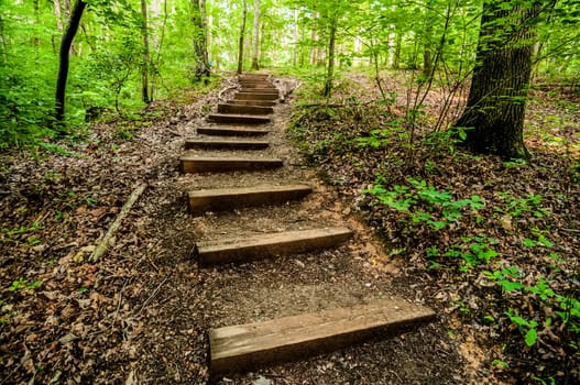 things you find on a hiking trail in state park