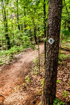 Hiking trail sign on the forest paths