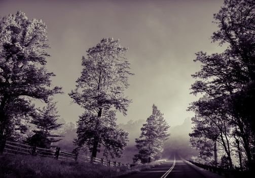 misty morning in blue ridge mountains