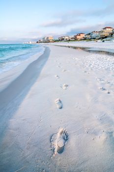 florida beach scene