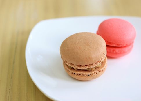 Tasty sweet macaron