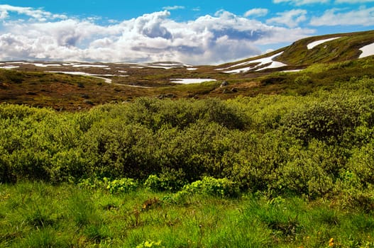 Summer in the mountain with spots of snow in the distance