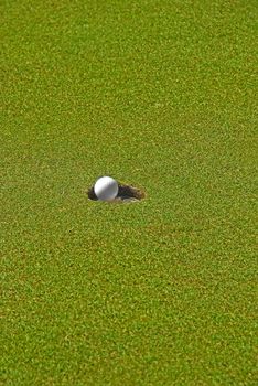 Moving golf ball about to drop in hole.