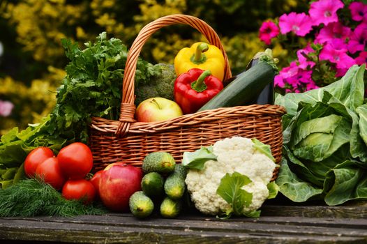 Fresh organic vegetables in wicker basket in the garden