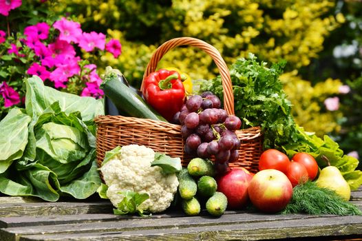 Fresh organic vegetables in wicker basket in the garden