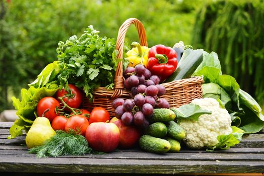 Fresh organic vegetables in wicker basket in the garden