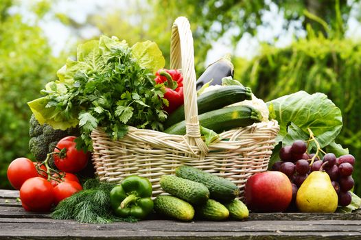 Fresh organic vegetables in wicker basket in the garden