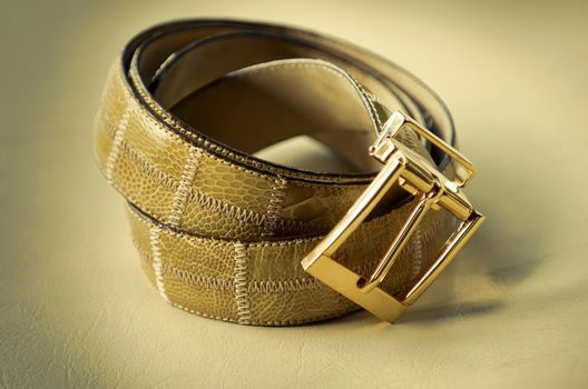 Closeup of expensive alligator signature belt