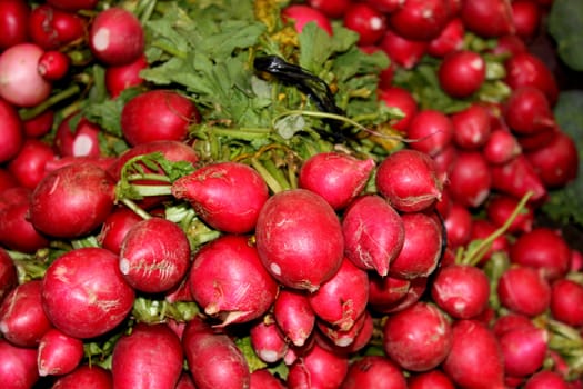 Radishes for sale at an outdoor market